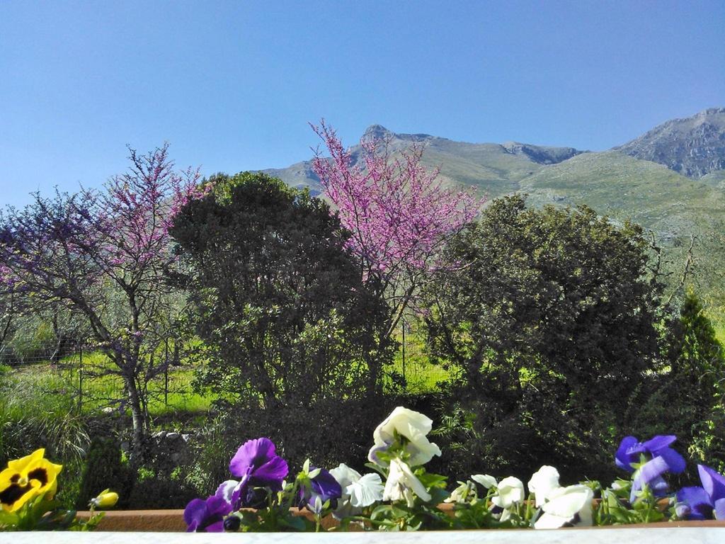 B&B Villa Ada Formia Eksteriør billede